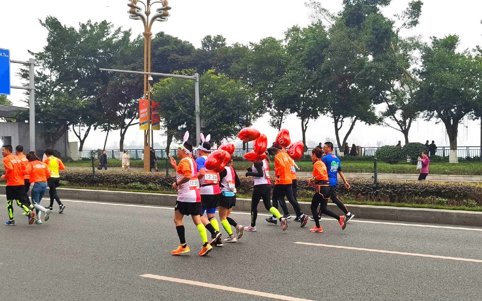 IMG_20191229_101227_看图�