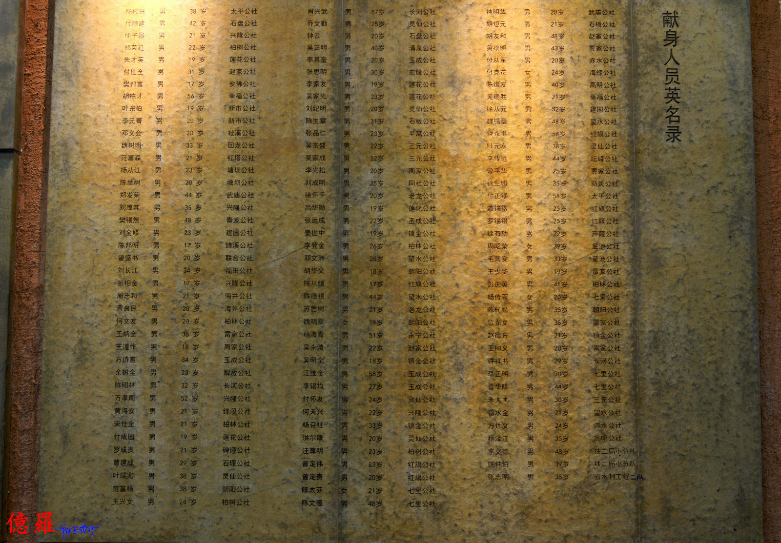 123353uhyf5x5dhyqmalom.jpg