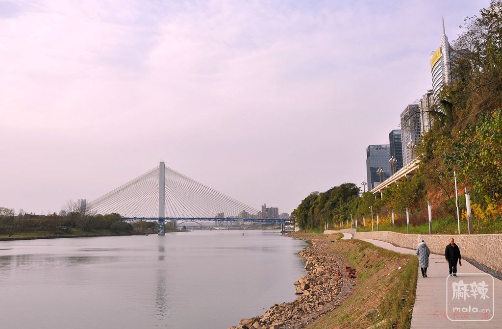 DSC_0061_.jpg