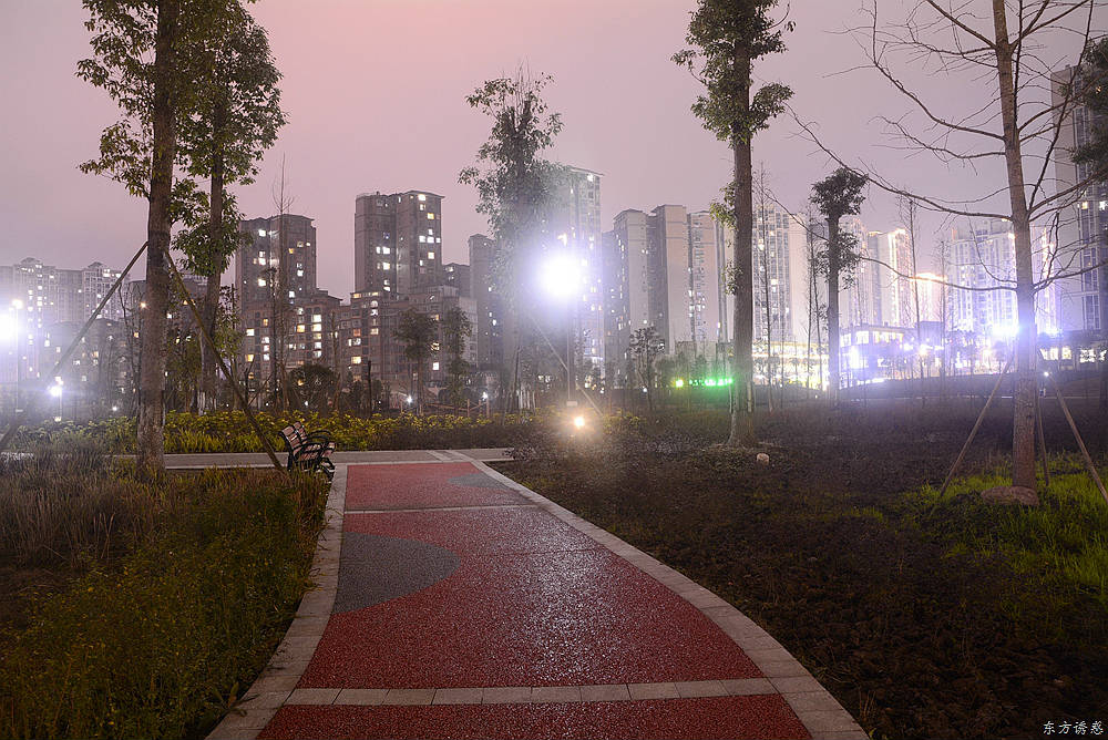 滨河公园夜景19.jpg