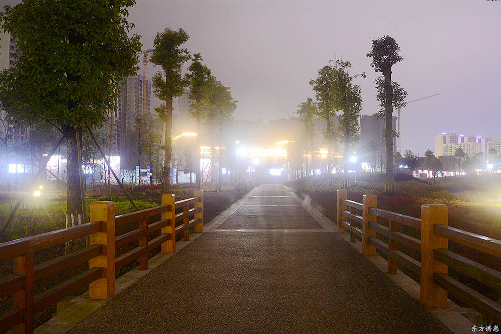 滨河公园夜景27.jpg