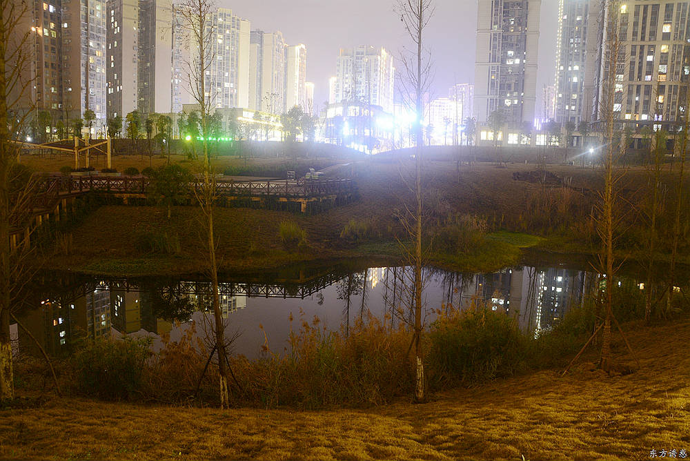 滨河公园夜景33.jpg