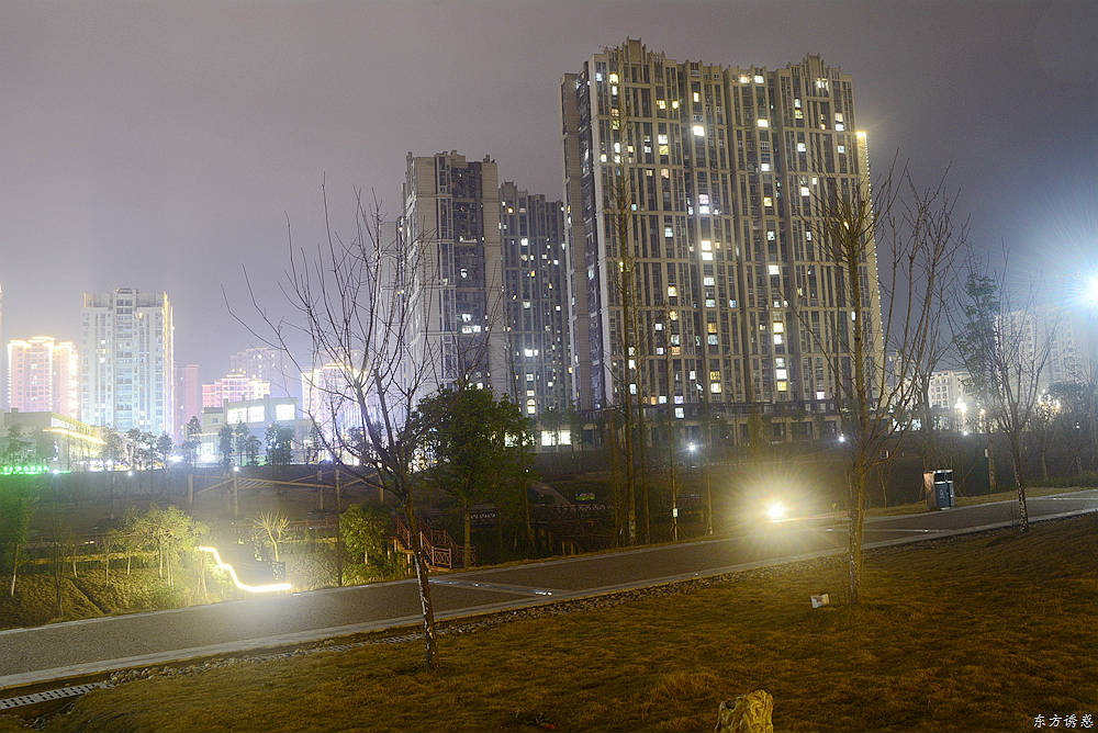 滨河公园夜景38.jpg