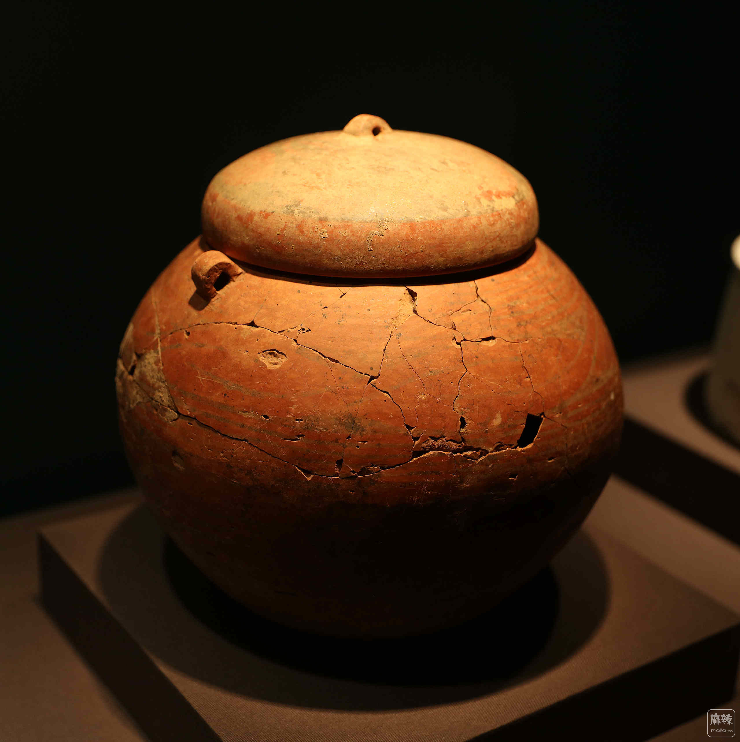 新疆出土不朽女尸，历经3800多年，头发保存完好且五官清晰可见