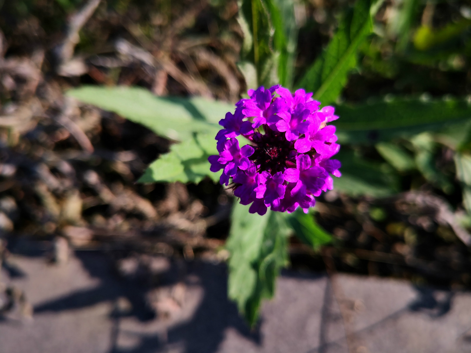 130720iln13z33uj18k353.jpg