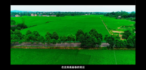 Screenshot_2020-01-02-20-50-52-014_com.tencent.mm.png