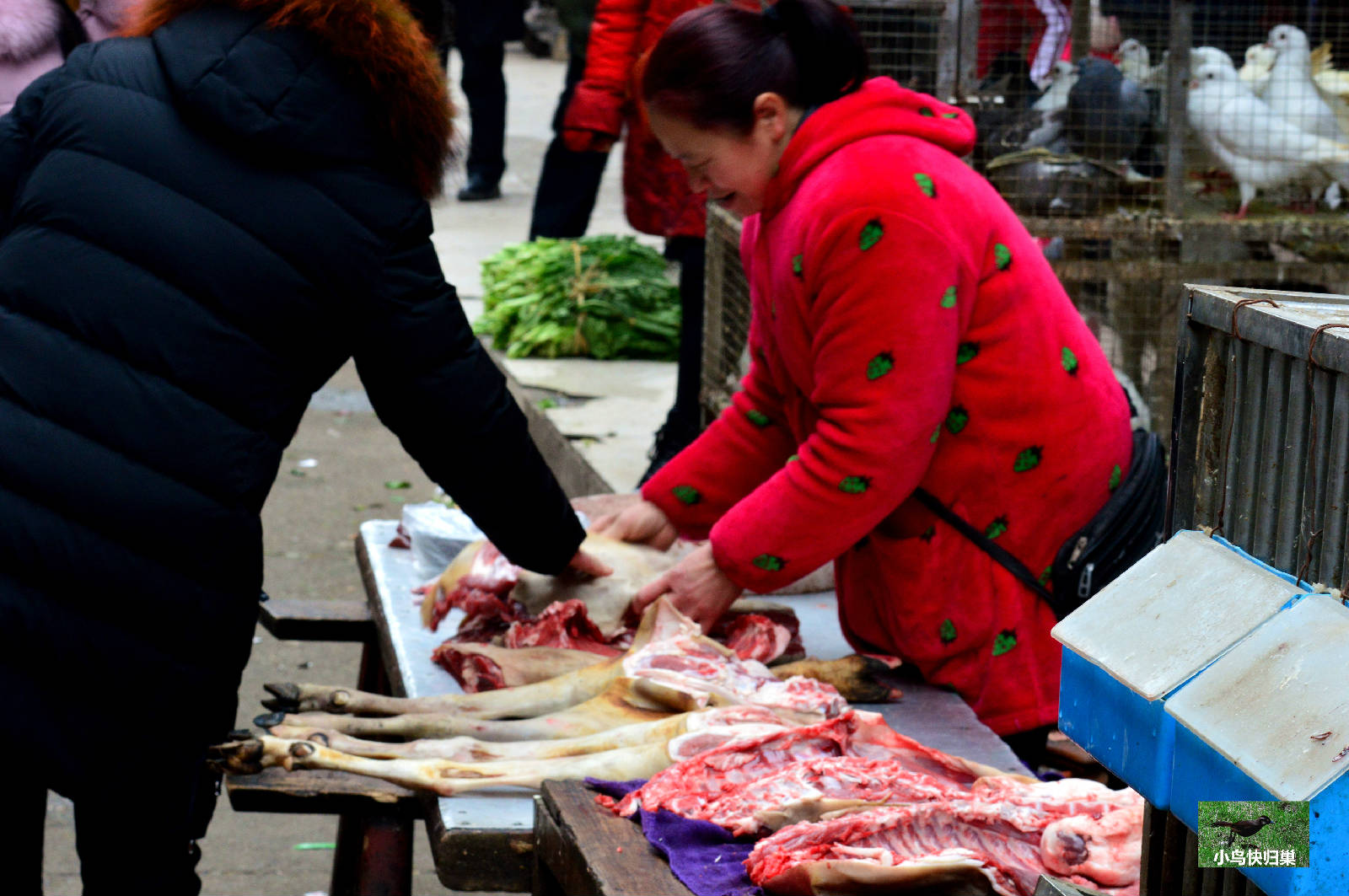 DSC_0062.JPG