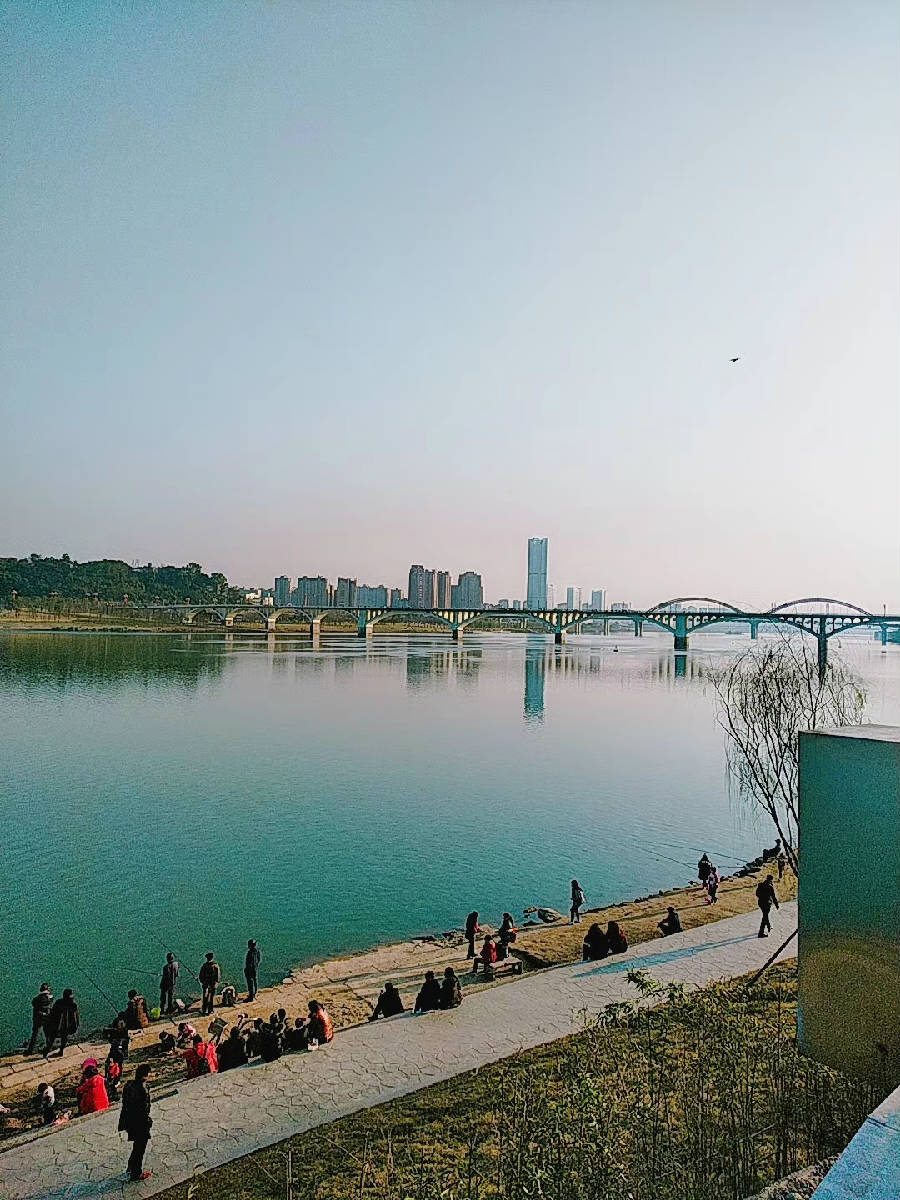 QQ图片20200112153413.jpg