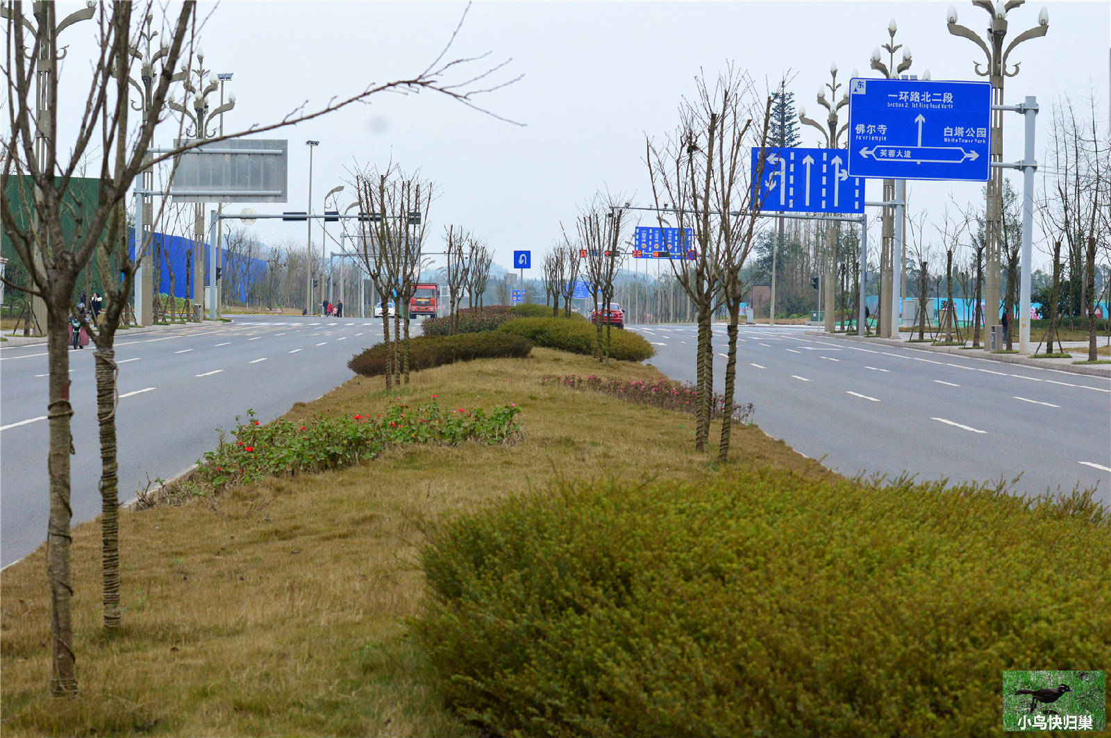 DSC_0031.JPG