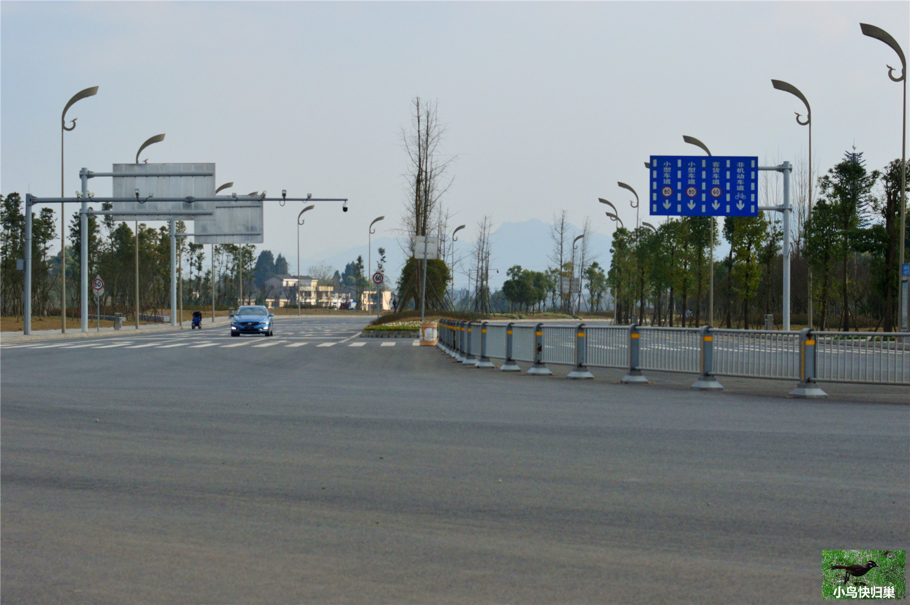 DSC_0062.JPG