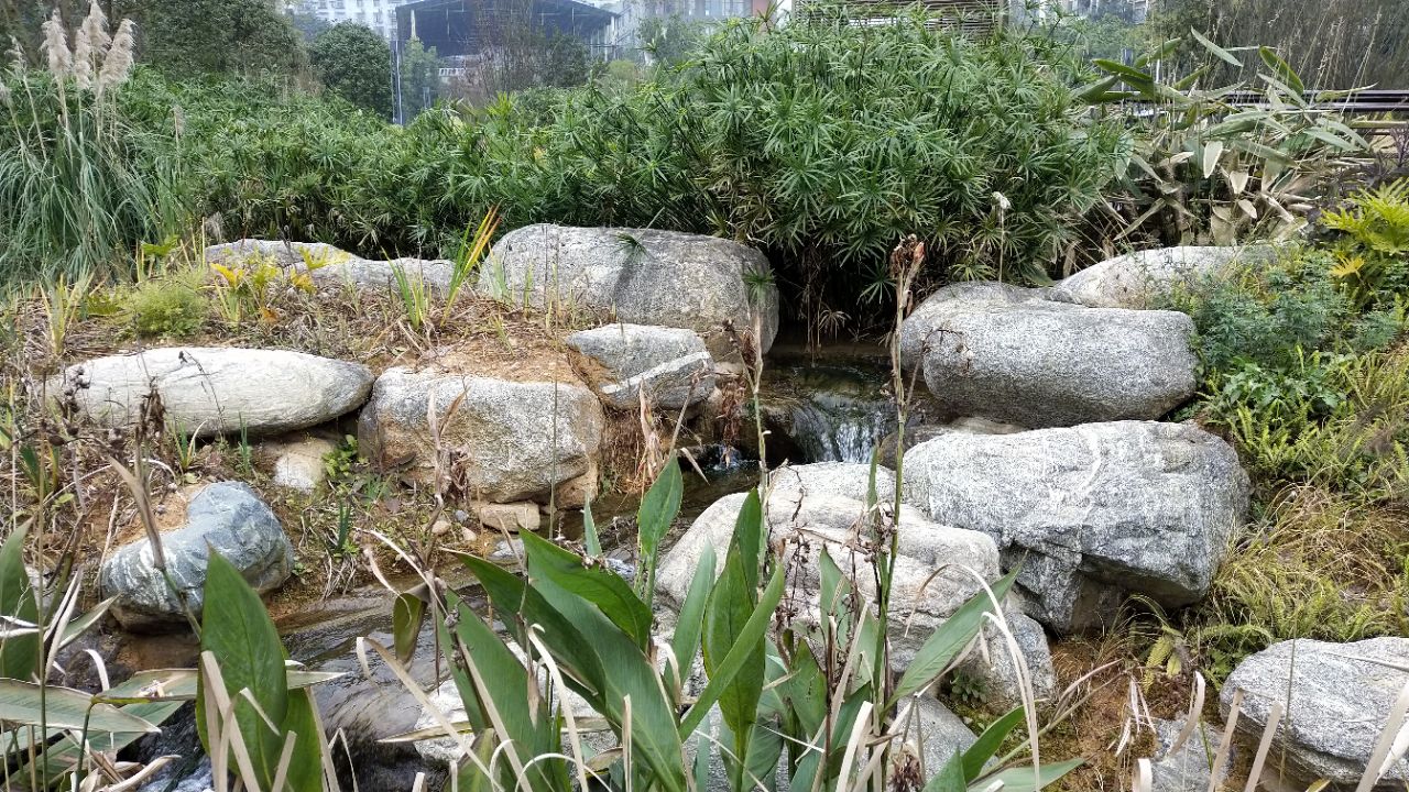20200114_4498595_1578973378497.jpg
