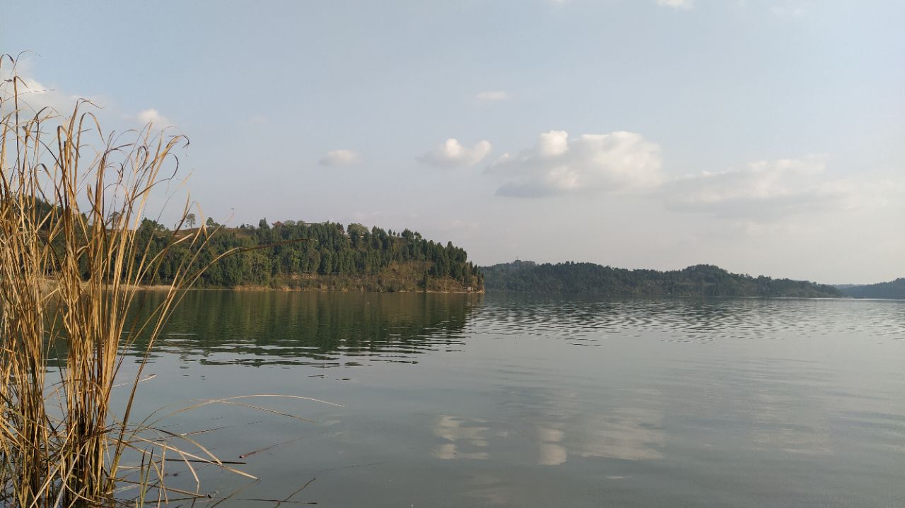20200116_7527557_1579185517870.jpg