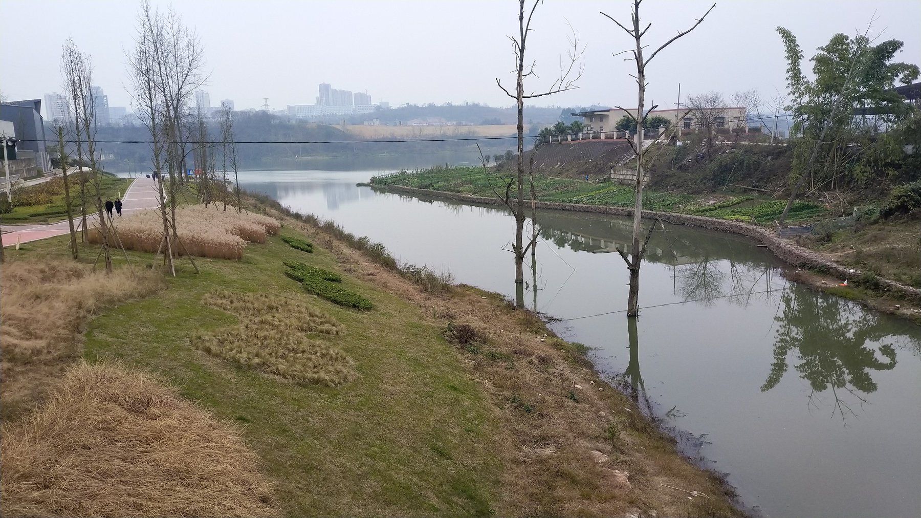P00113-155312.jpg