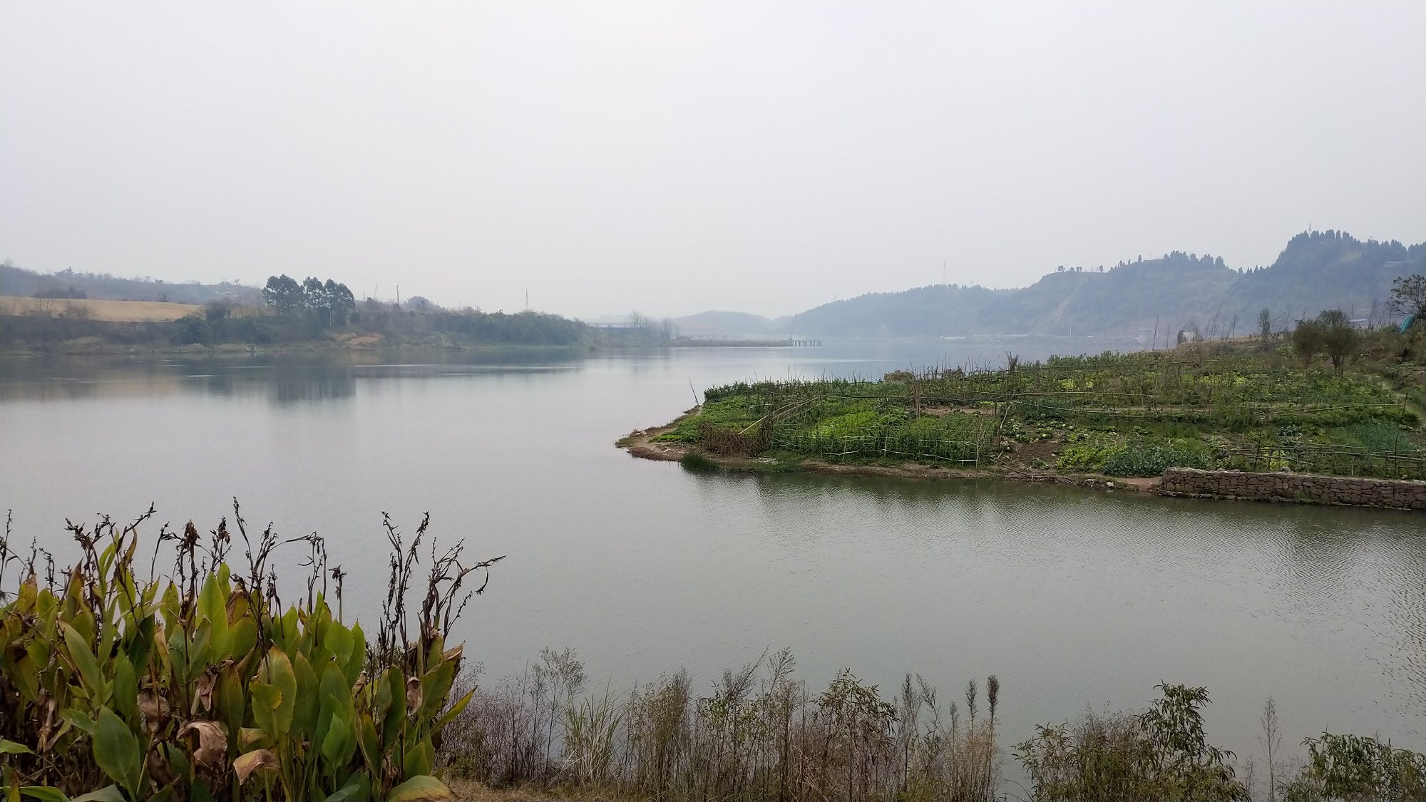 P00113-155905.jpg