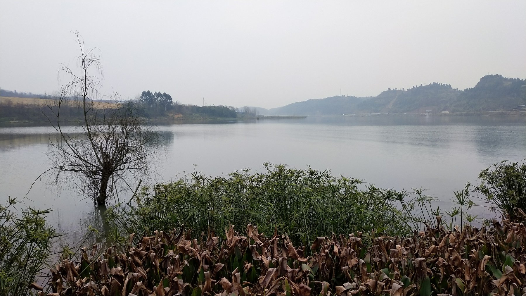 P00113-160326.jpg