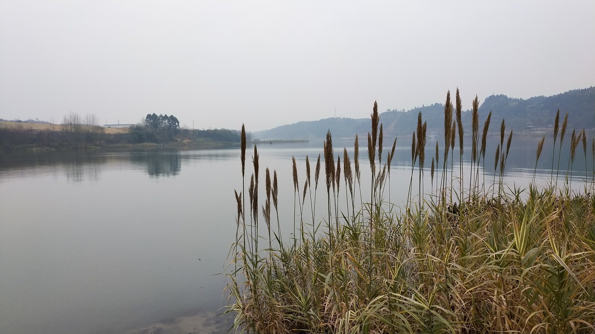 P00113-160555.jpg