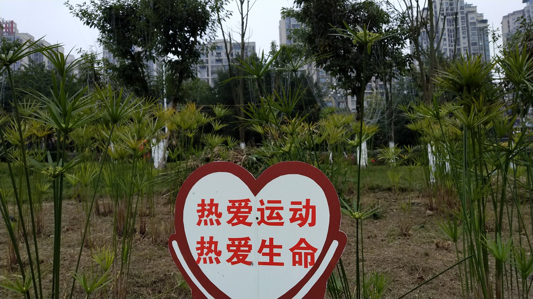P00113-163612.jpg
