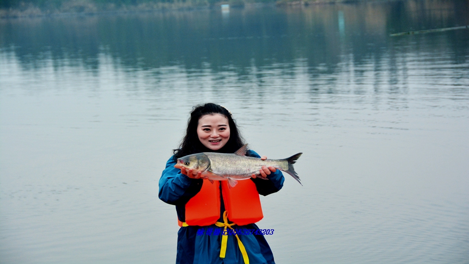 DSC_9012.JPG