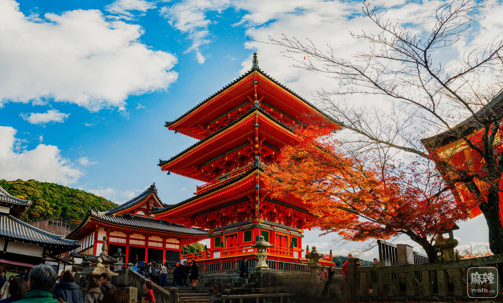 大连清泉寺,清泉,南充清泉_大山谷图库