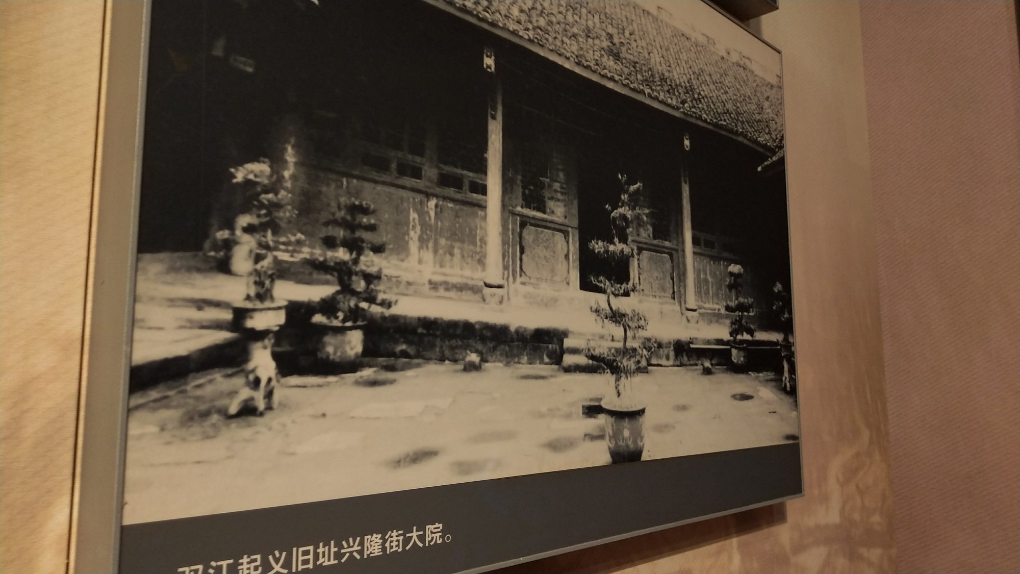 P00115-122219.jpg