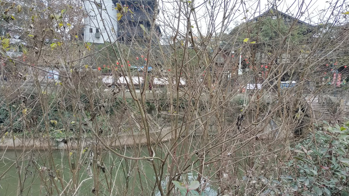 P00115-114343.jpg