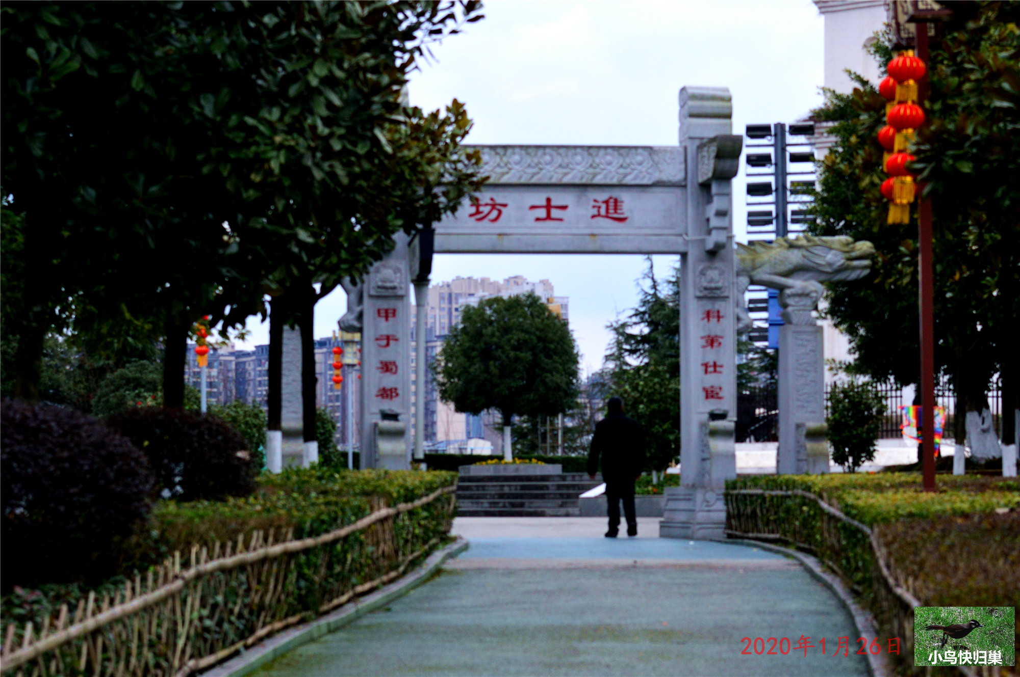 DSC_0101.JPG