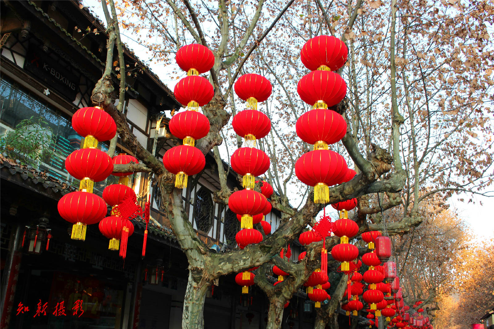 IMG_7553_副本.jpg