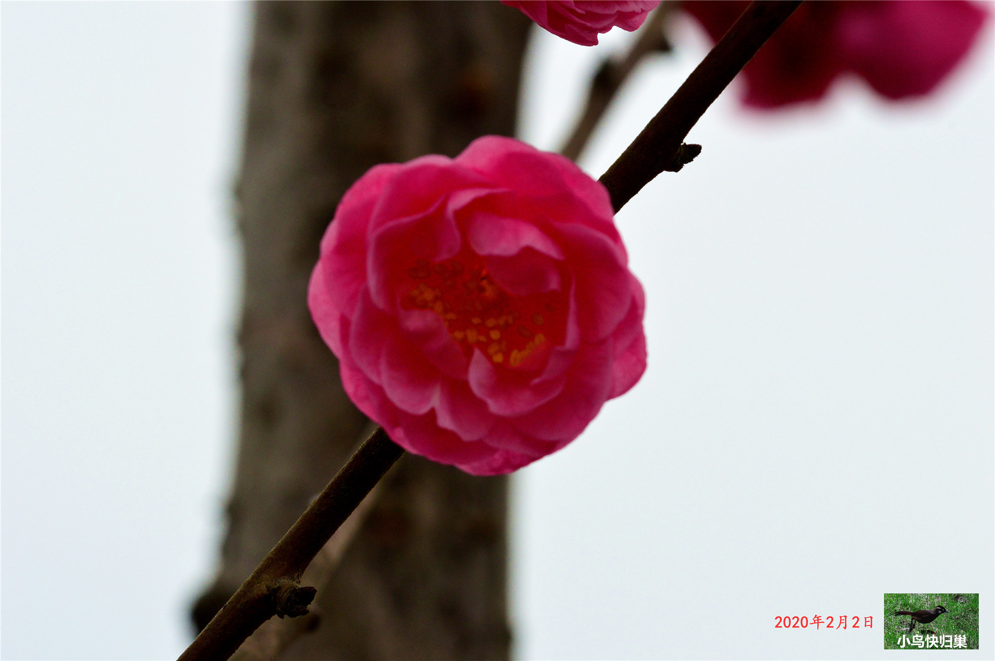 170537v2wdq000q0rn166i.jpg