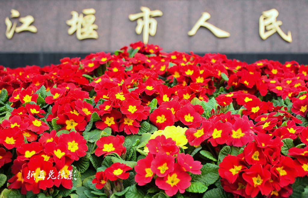 140533fp05i3qz0eqw595p.jpg