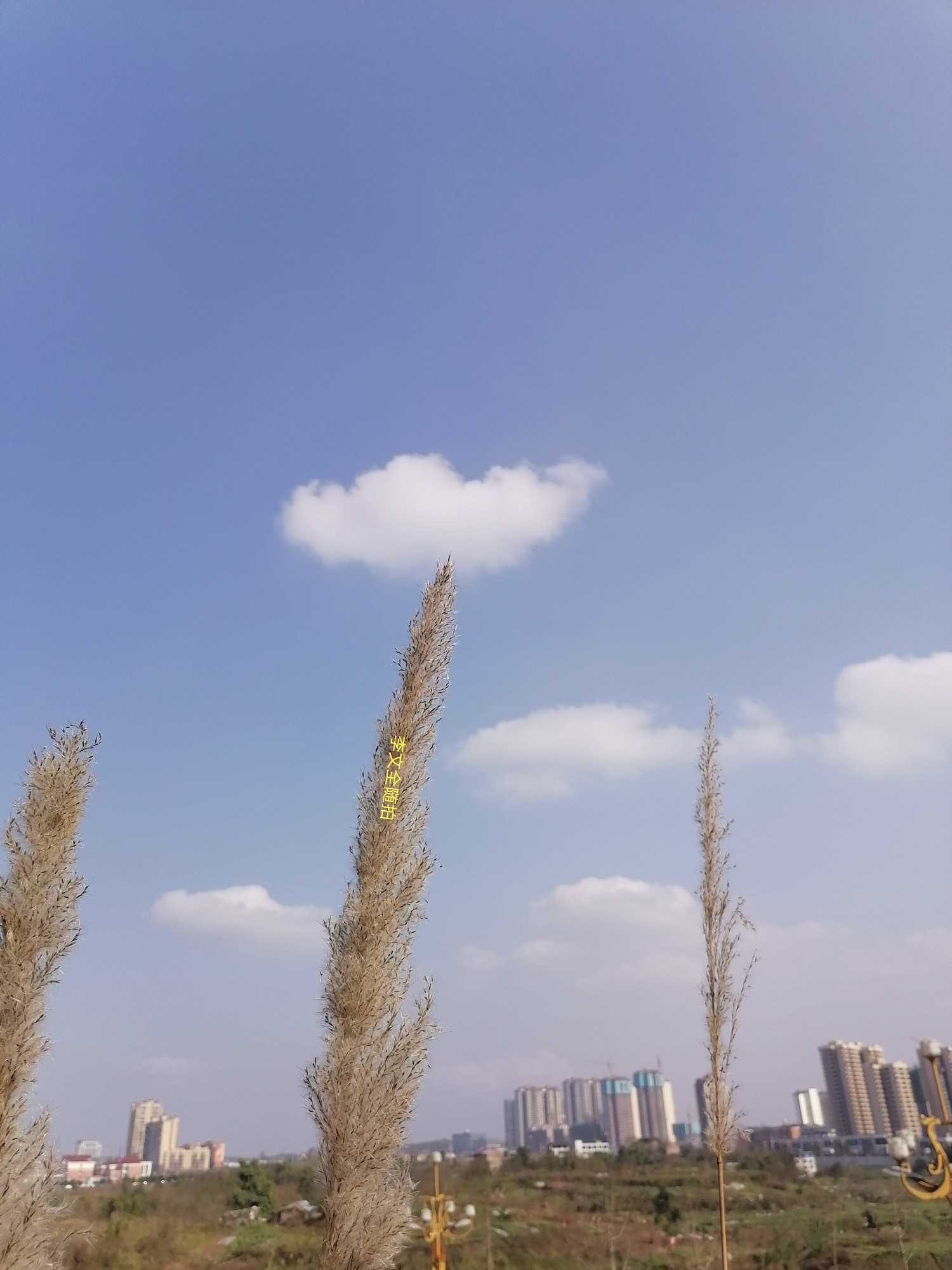 051920iv5vvbeb6vkqqbvx.jpg