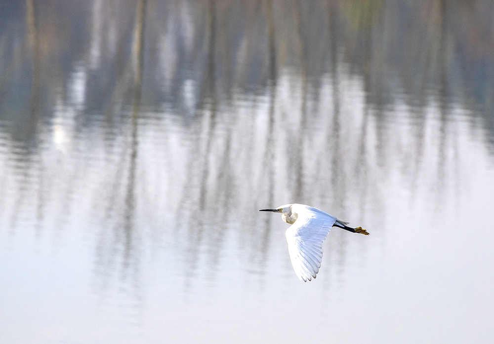 _MG_6387.jpg