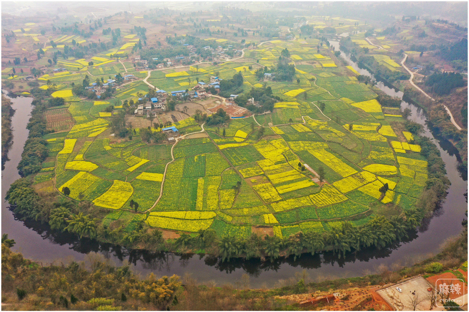 疫情中的青岗乡