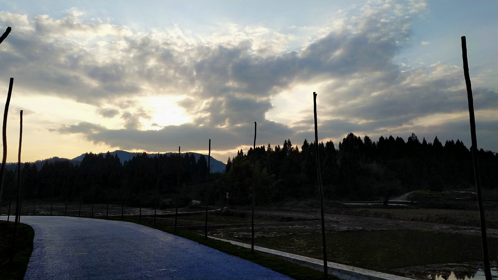 P00229-180640.jpg