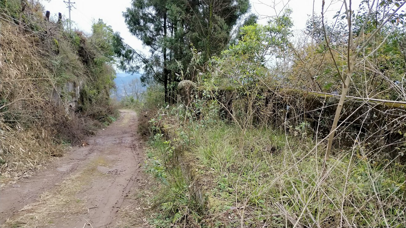 P00303-140030.jpg