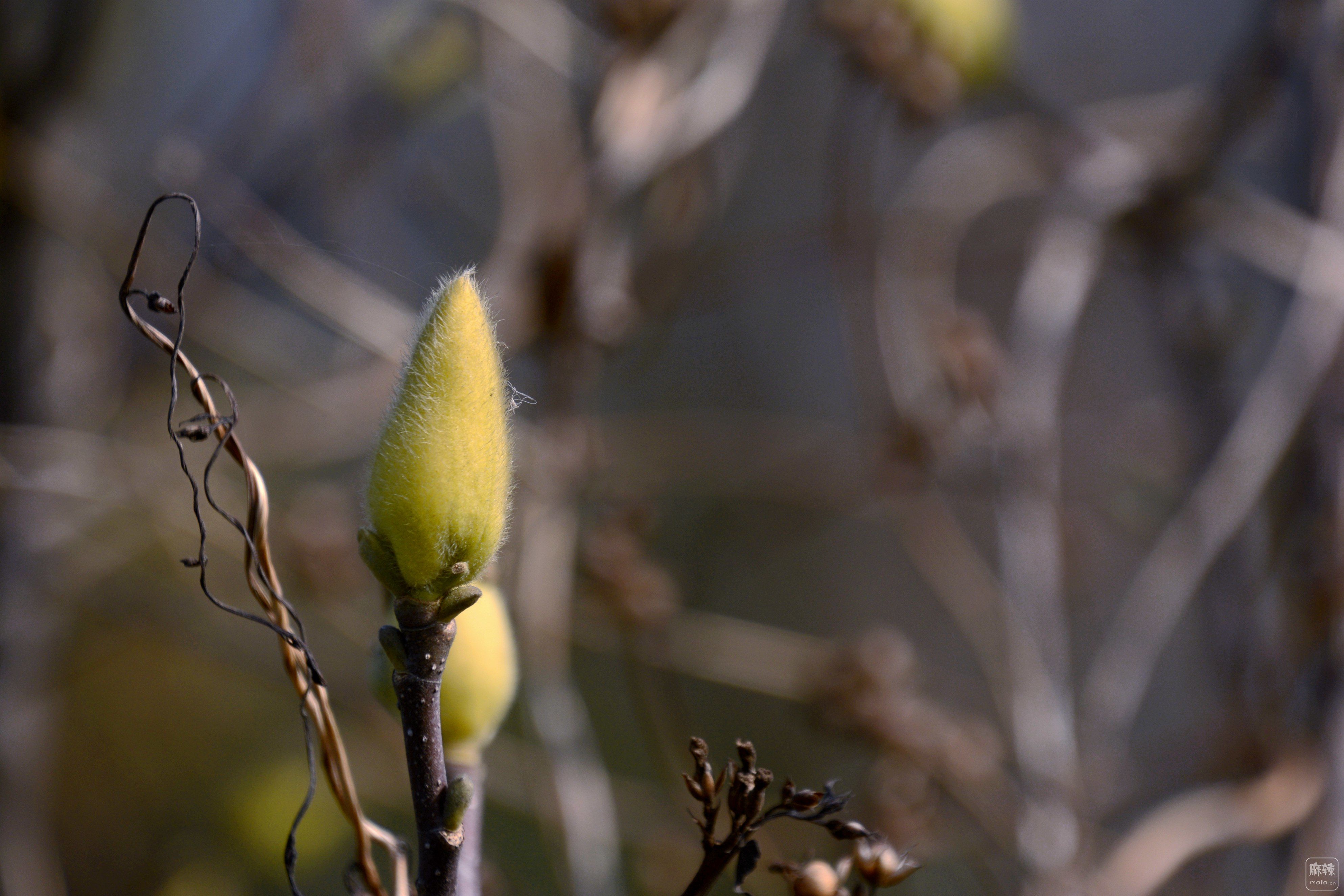 _DSC8949_.jpg
