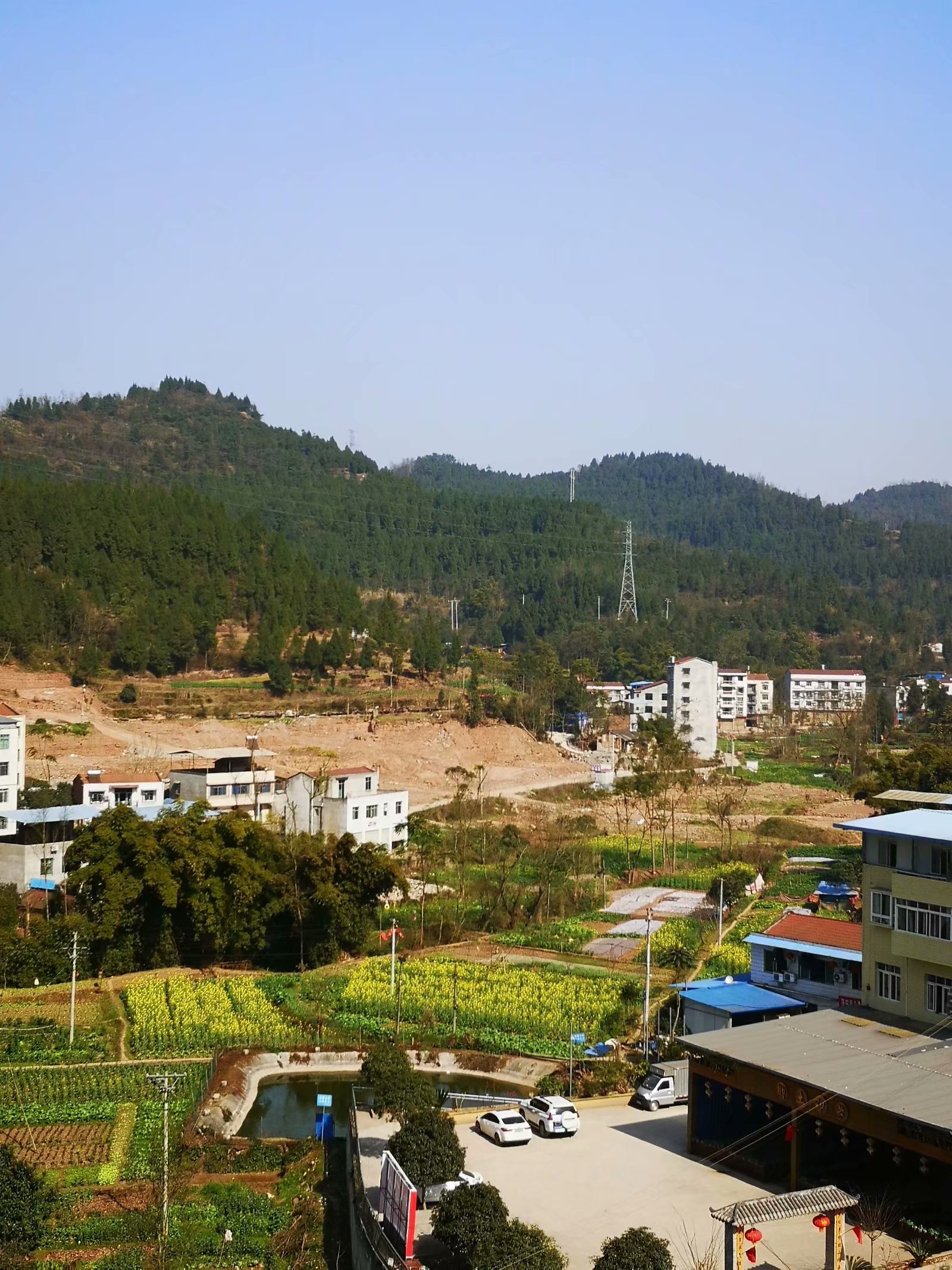 200853gffu0myqdpxm0lem.jpg