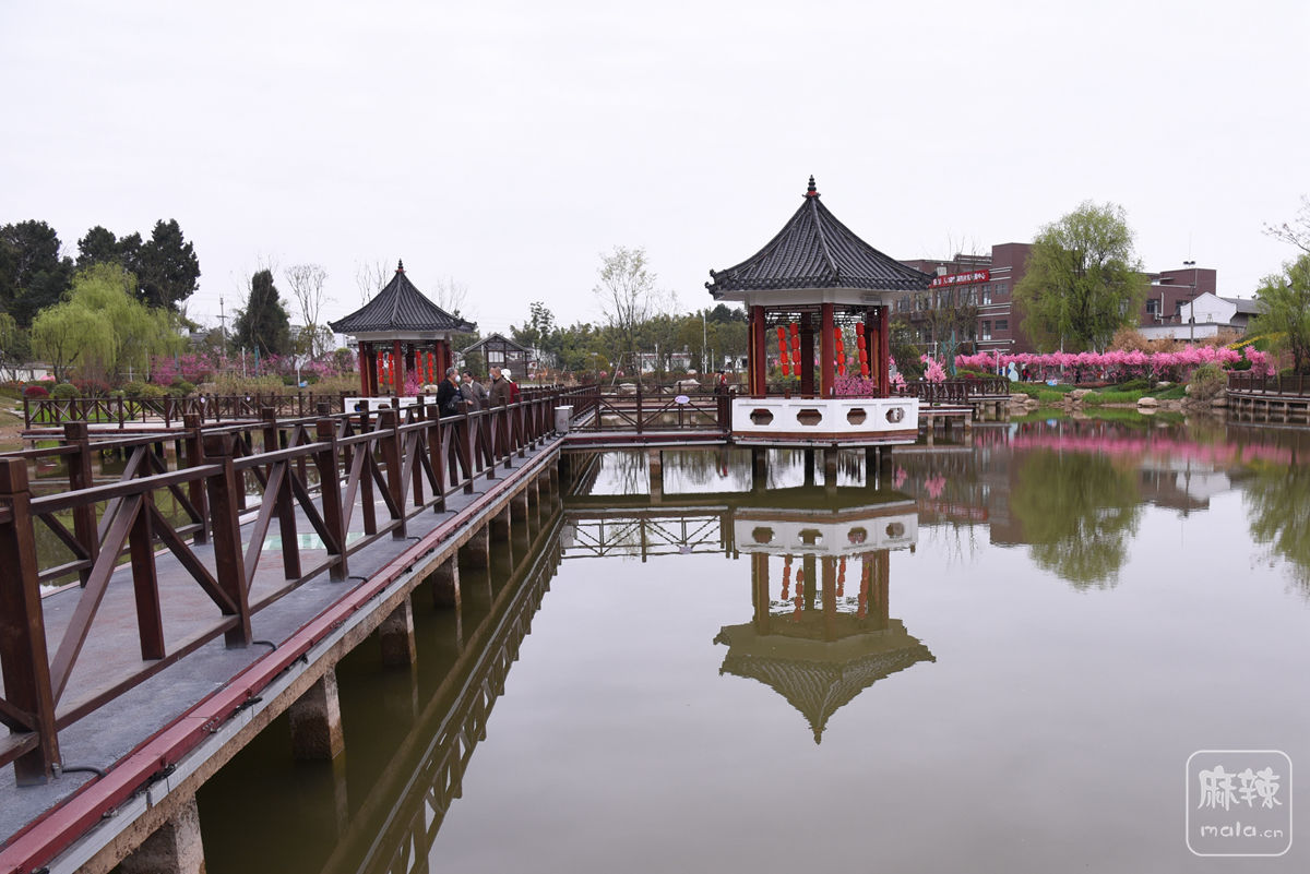 201113ezmirl99p9i95959.jpg