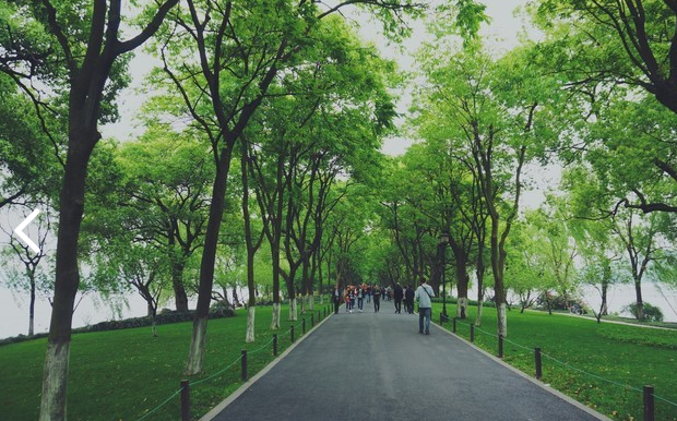 ΢ͼƬ_20200313195531.png