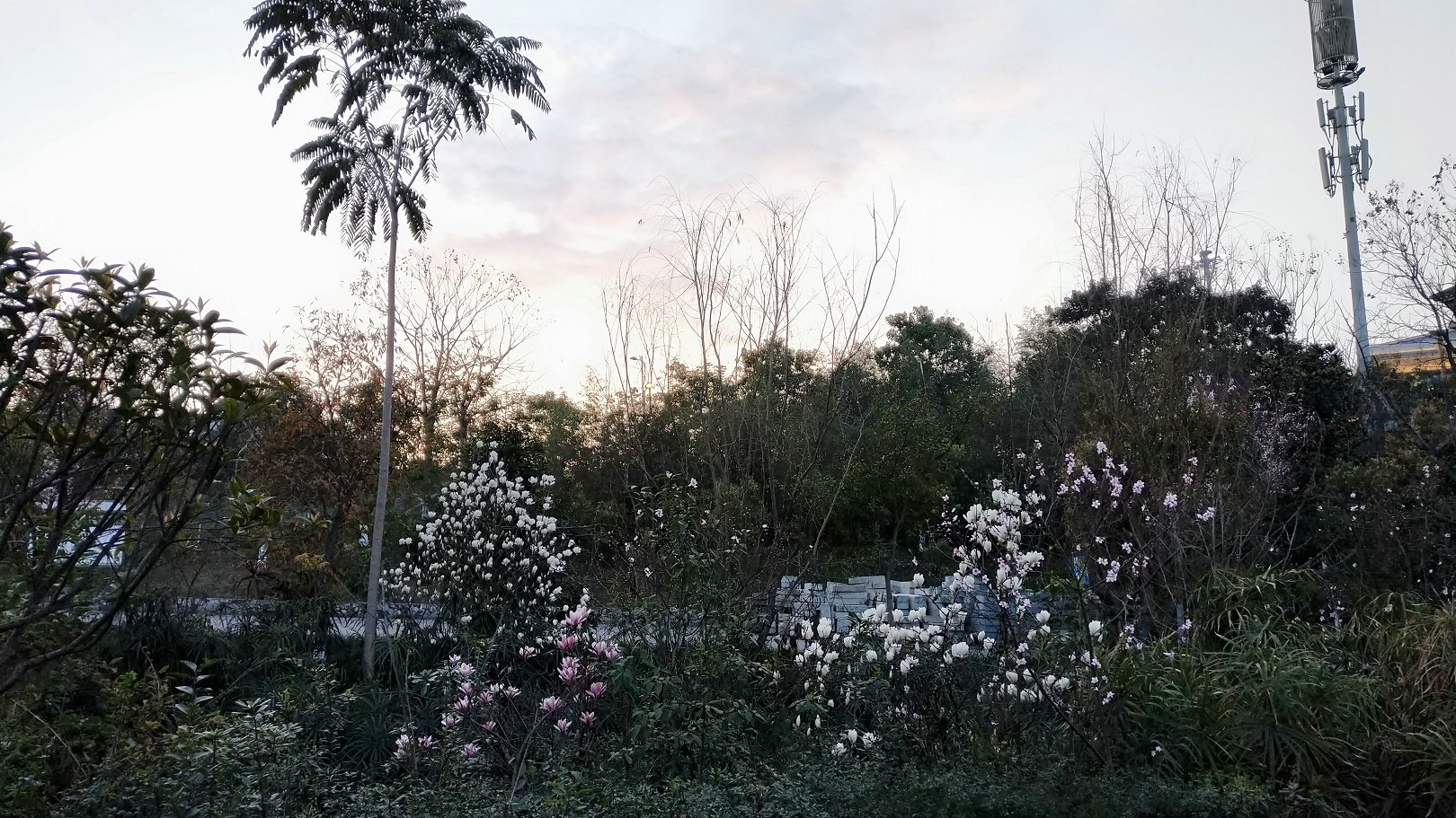 P00305-184636.jpg