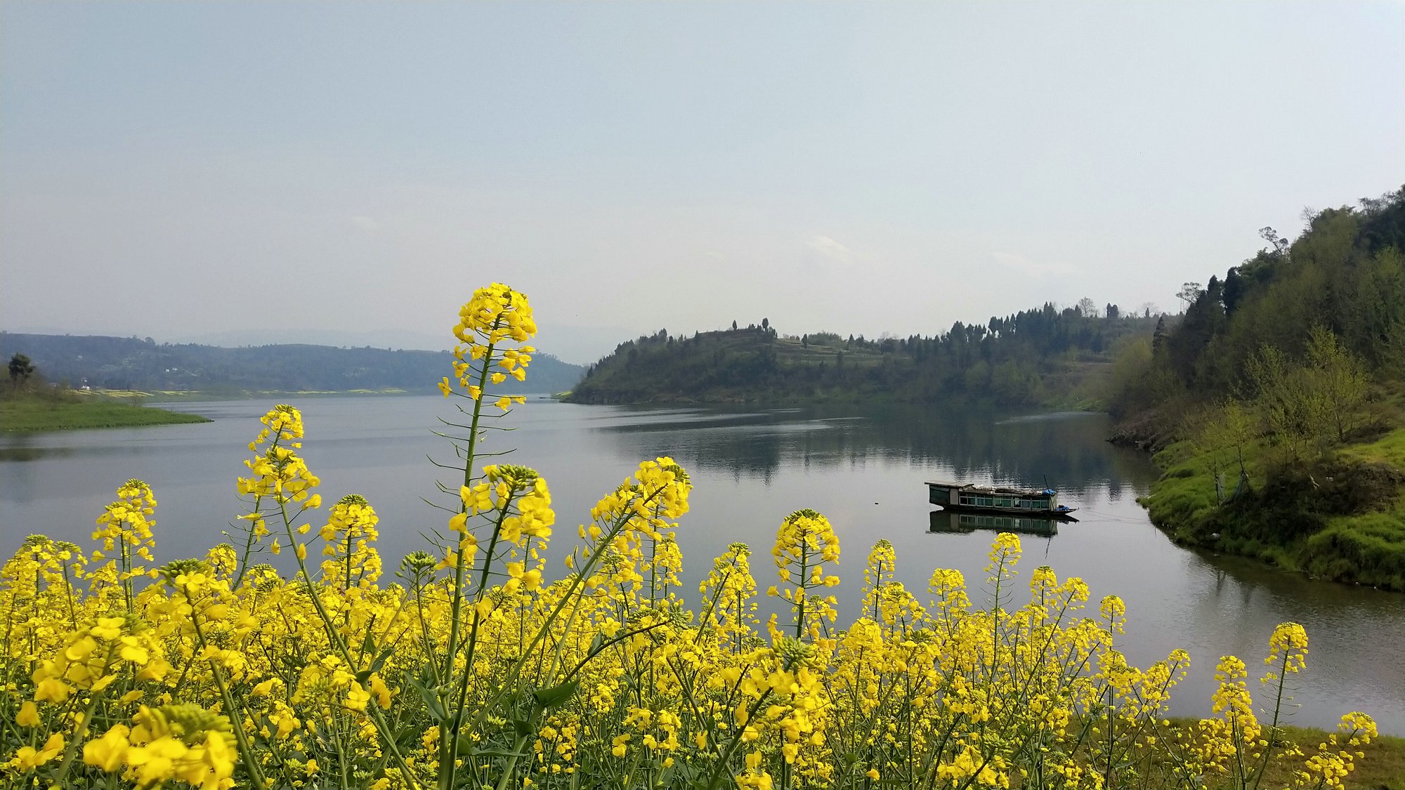 3月7日徒步渠縣土溪的山水花海之間