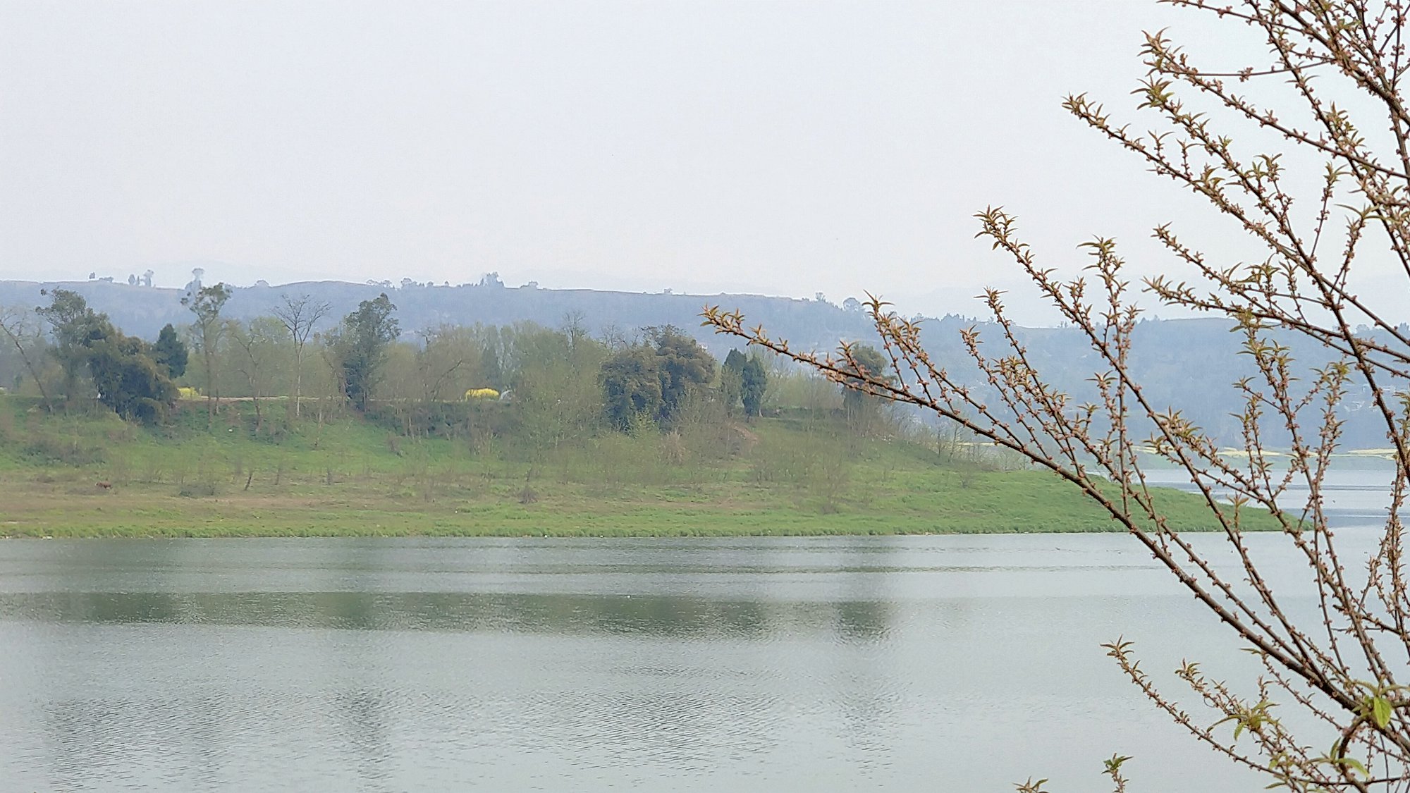 P00307-151527.jpg