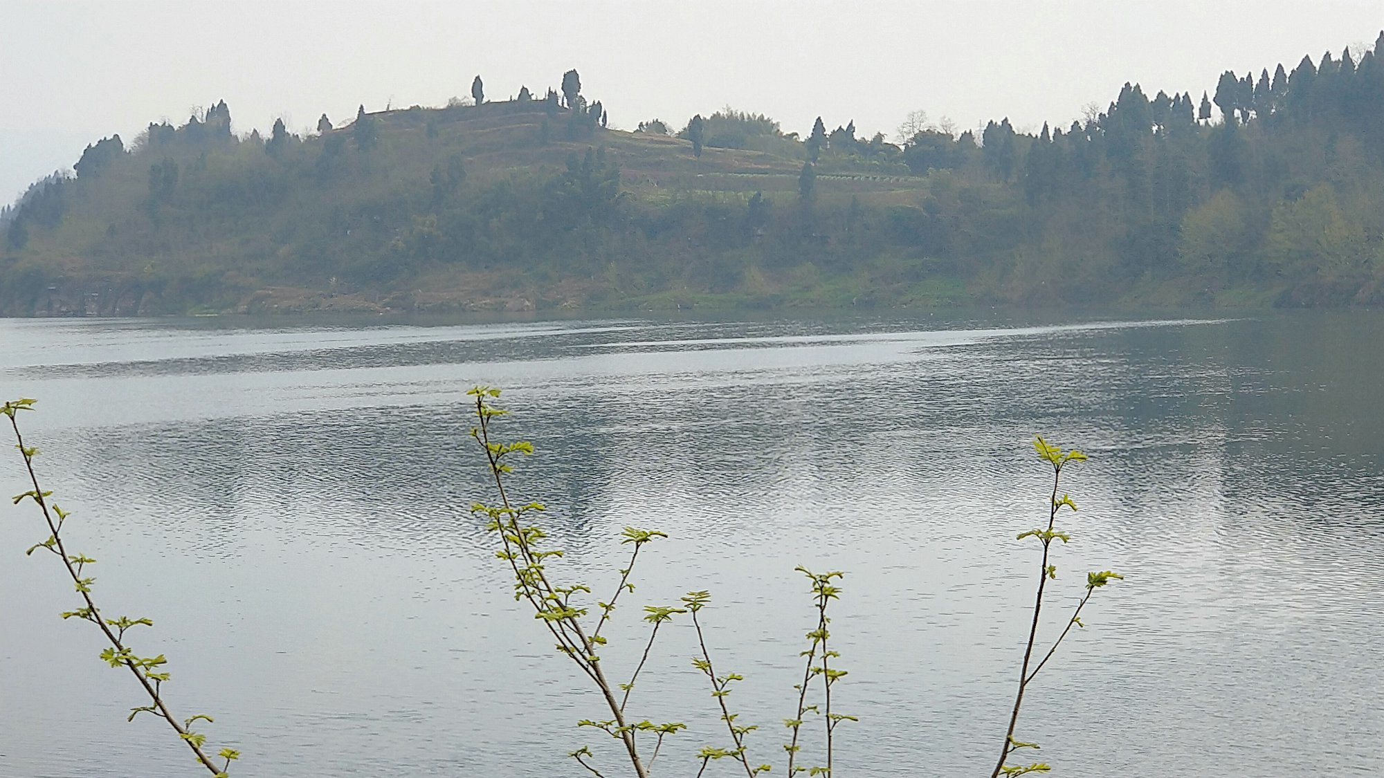 P00307-151618.jpg