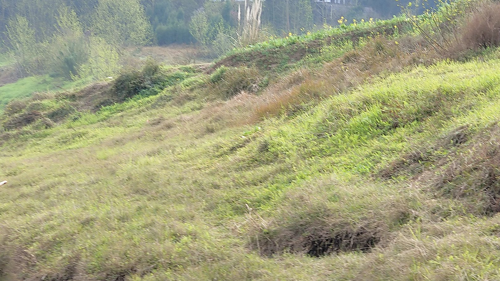 P00307-151638.jpg