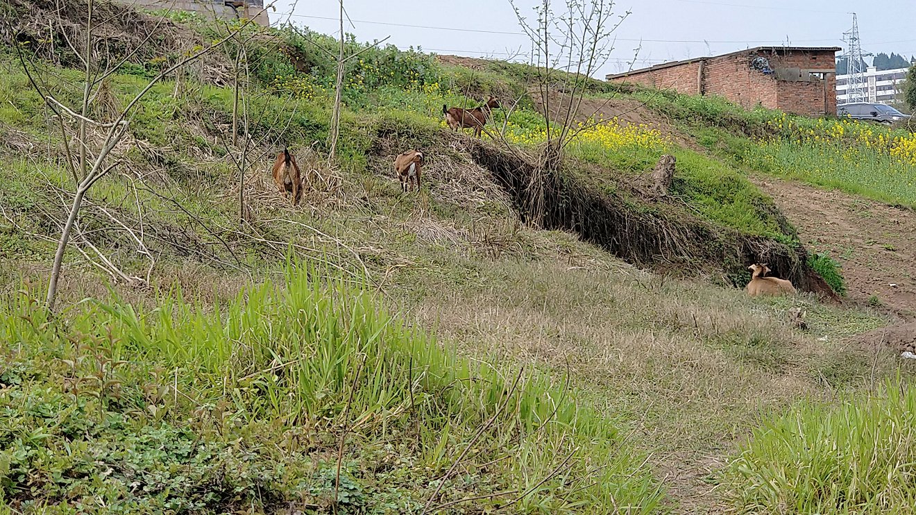 P00307-151700.jpg