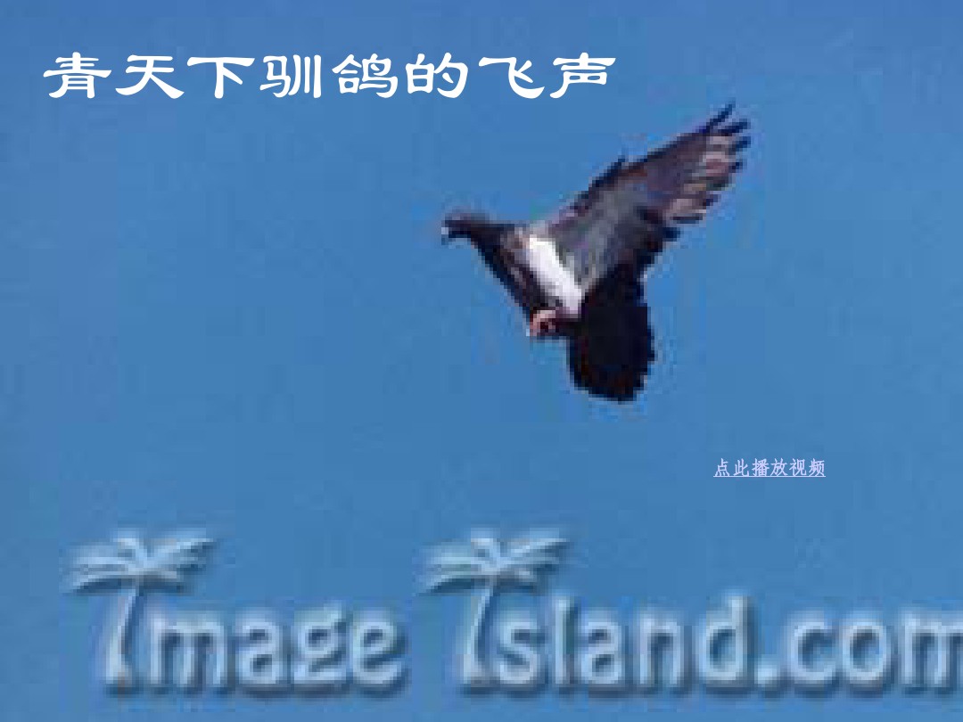 102623r6upl6vo60cvp026.jpg