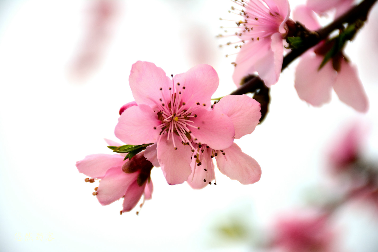 211428l07bg9ebs2aq0b2e.jpg