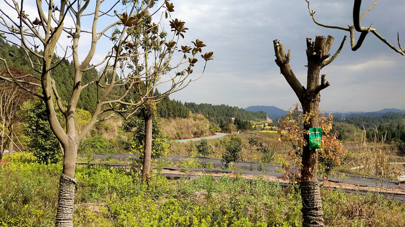 P00312-150736.jpg