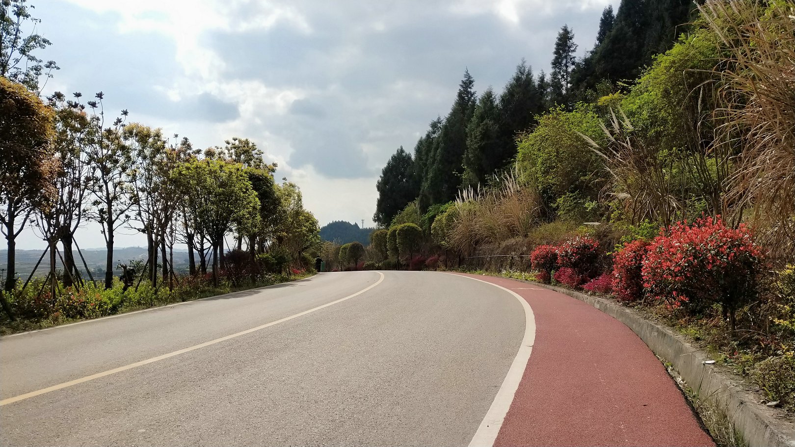 P00312-150758.jpg