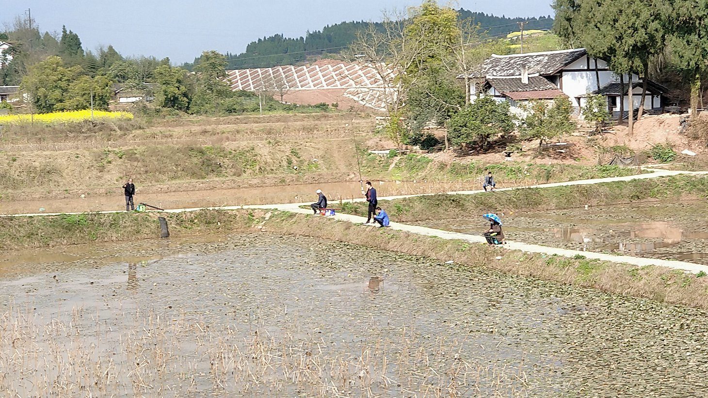 P00312-152758.jpg