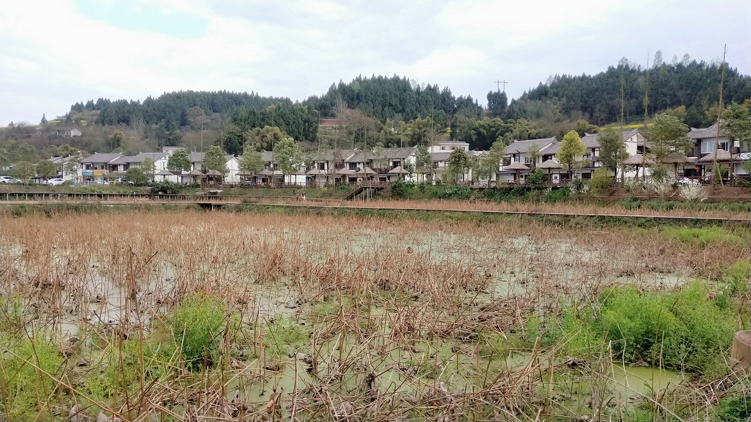 P00312-155404.jpg